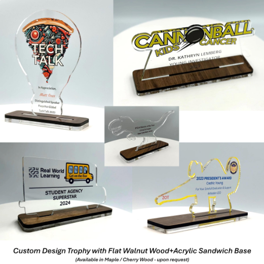 Custom Design Acrylic Trophy with Wood Base/Employee Recognition Award/STEM Award/Tech Gift - Acrylic with Color Prints - Free Customization