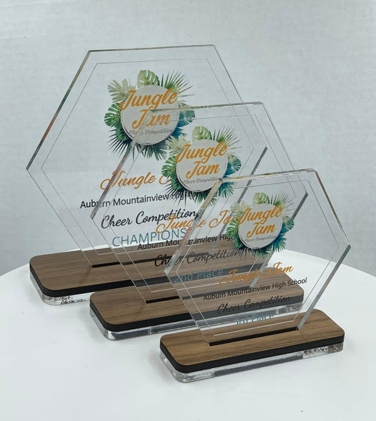 Hexagon Acrylic Trophy + Wood Base