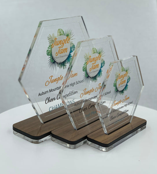 Hexagon Acrylic Trophy + Wood Base - crafty90